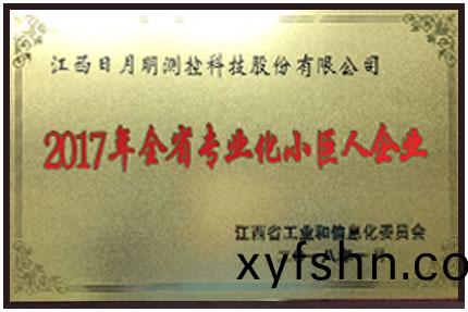 江西省(sheng)專業(ye)化小(xiao)巨(ju)人企(qi)業